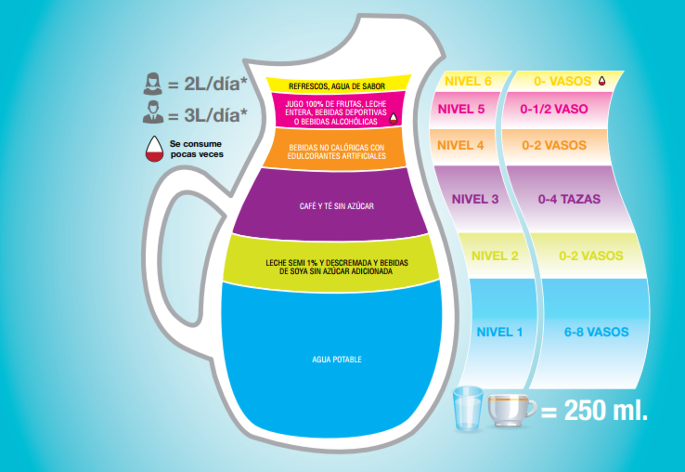 Consumo de agua  brinda beneficios  al organismo